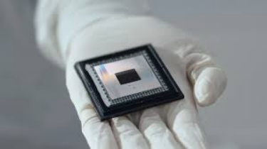 AlphaPhysics 发现未知亚原子衰变，AI 跨界成为独立“物理学家”